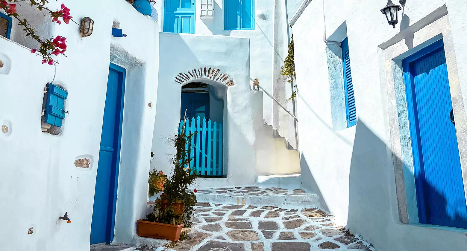 imagen de XENIA 